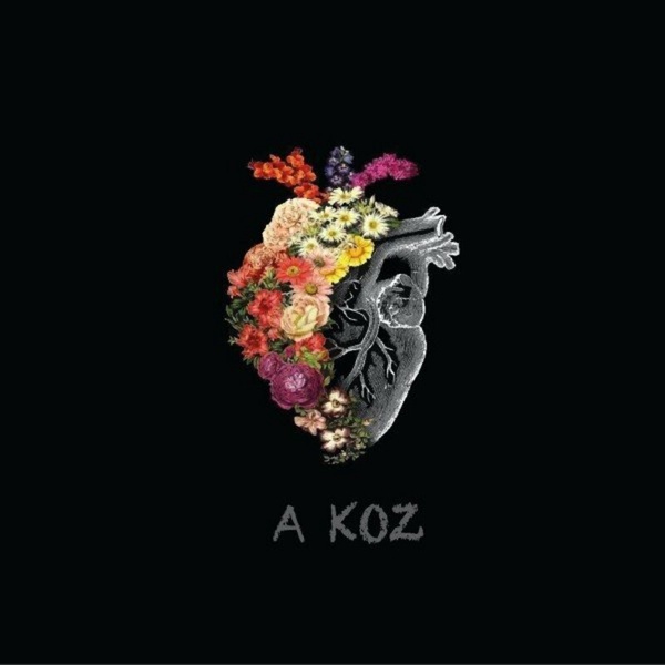 #Titre Actuellement Joué DI PANDA - A koz