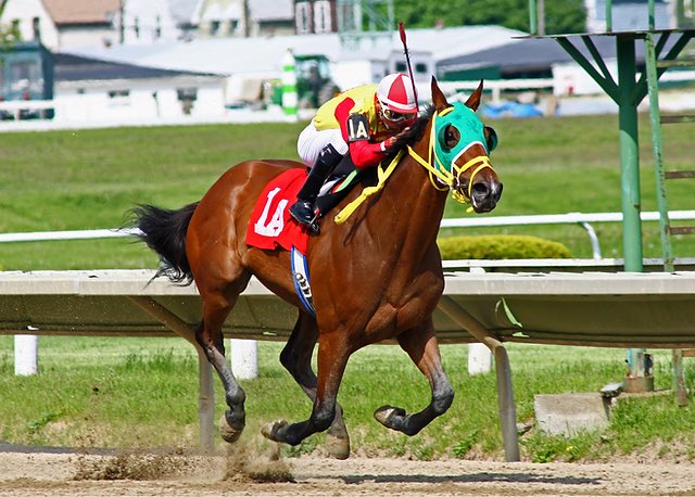 MinorBreakdown's tweet image. 🚨NEW EPISODE IS LIVE🚨

Saddle up because this week we are heading to Lexington Kentucky to talk about the Lexington Counter Clocks!

They don’t have an announced mascot YET, so we put some race horses in the pictures today 🐎

Click to listen!
linktr.ee/minorbreakdown