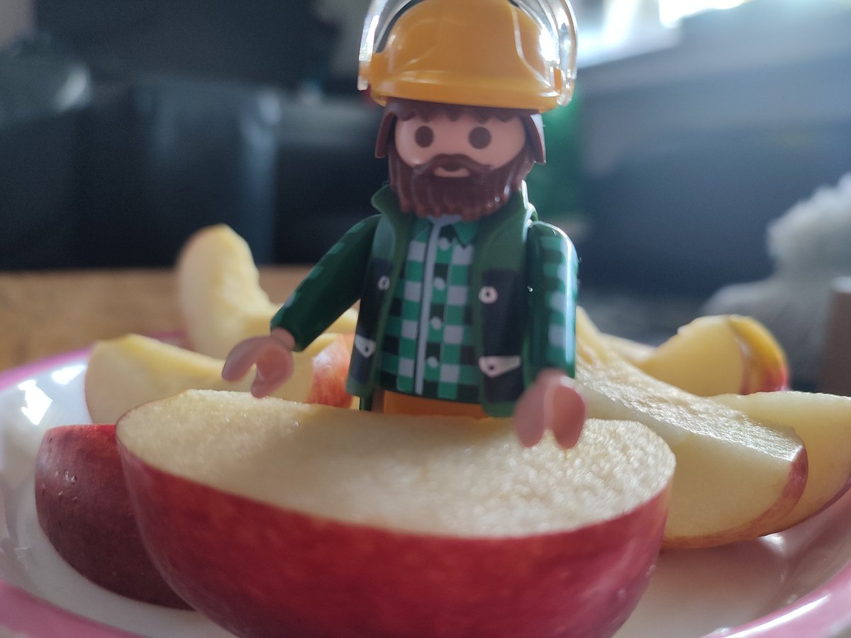 Buecherwesen's tweet photo. Vor einer Weile hat mir meine Kleine den hier geschenkt. Jetzt sucht sie mir jemanden, der einen "ganz langen Bart" hat ❤️ #love #beardedmen #pogonophil #bartliebe #single #Playmobil https://t.co/zb4JYdpBz8