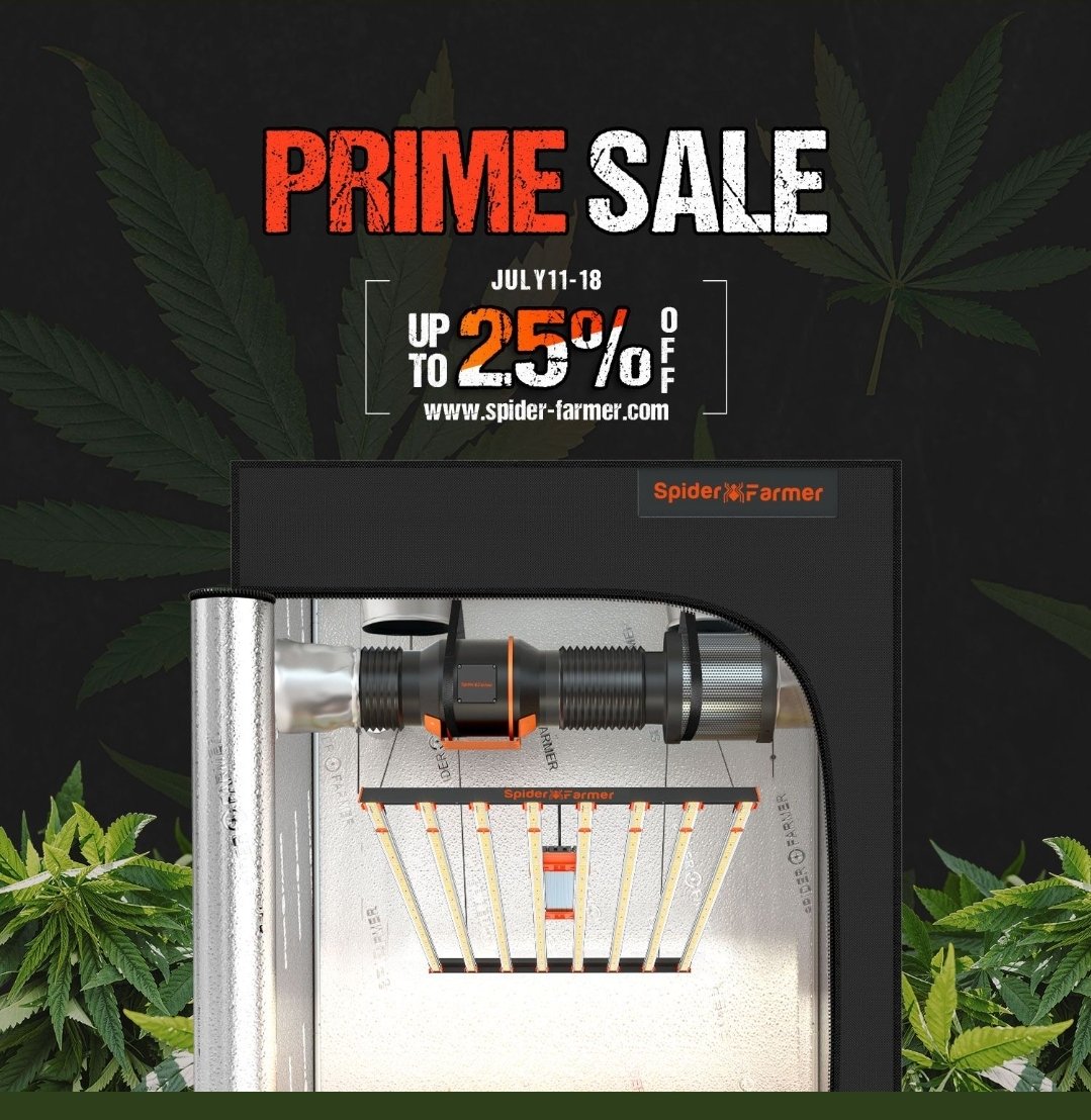 Check out the Prime Sale going on right now. You can get yourself a #spiderfarmerG3000  like I currently us or some of their other  equipment they have to offer <a href="/spiderfarmerled/">Spider Farmer LED</a> <a href="/SfVilina/">SF-Vilina</a> #spiderfarmer #G3000