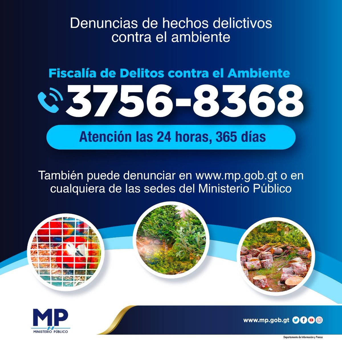 MP de Guatemala tweet media