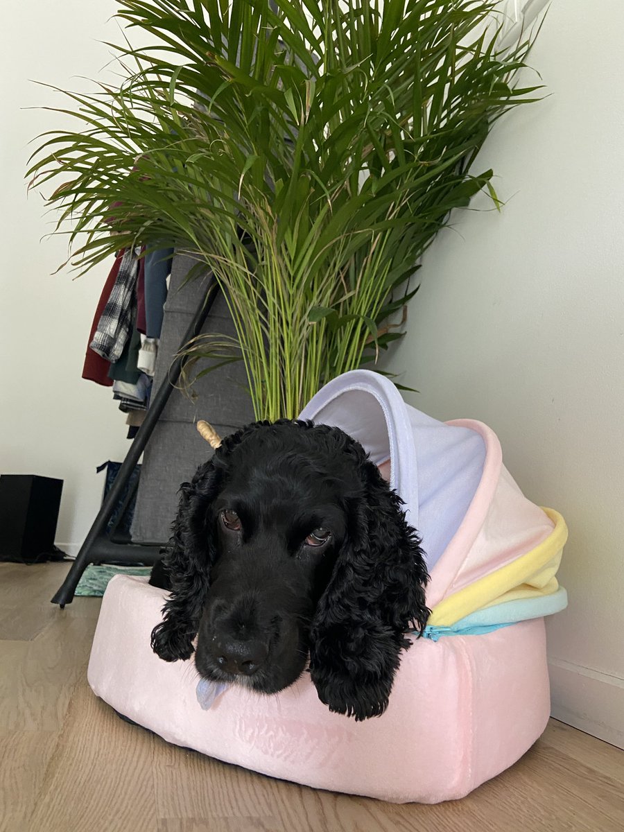 Karolina🌸 tweet media