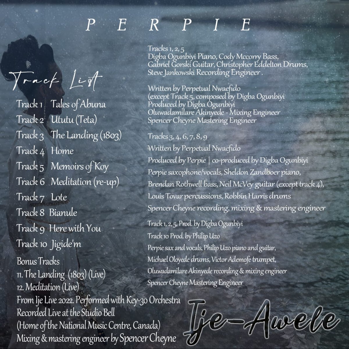 Congratulations, dear mentor <a href="/perpiesoul/">P E R P I E</a>, on this incredible achievement. May your music soar to unimaginable heights, and may your journey be filled with endless success, fulfilment, and boundless opportunities to share your extraordinary talent with the world.