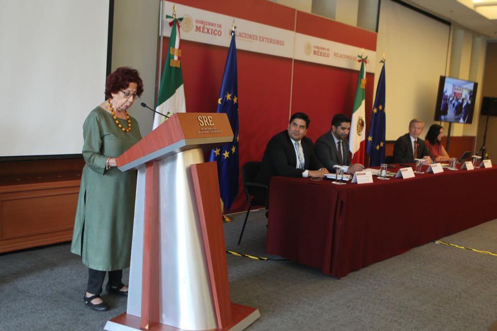 UEenMexico's tweet photo. La Unión Europea y la @SRE_mx organizaron una presentación sobre el #PlanSonora a empresarios y inversionistas europeos en México.

Invertir en infraestructura es fundamental para que la transición verde, justa e incluyente sea una realidad.

#GlobalGateway
🇪🇺🤝🇲🇽 https://t.co/40fwgCOzhh