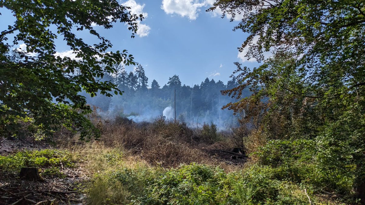 waldbrandkompo's tweet photo. Einsatzunterstützung für die #ffbutzbach. Mit unserer Führungskomponete konnten wir über mehrere Tage die Einsatzleitung und die Kräfte im Einsatz unterstützen. 
Eine besondere Herausforderung war die Munitionsbelastung.

#ffannerod #waldbrand #feuerwehr #teamwork https://t.co/AdBx7mfmqW