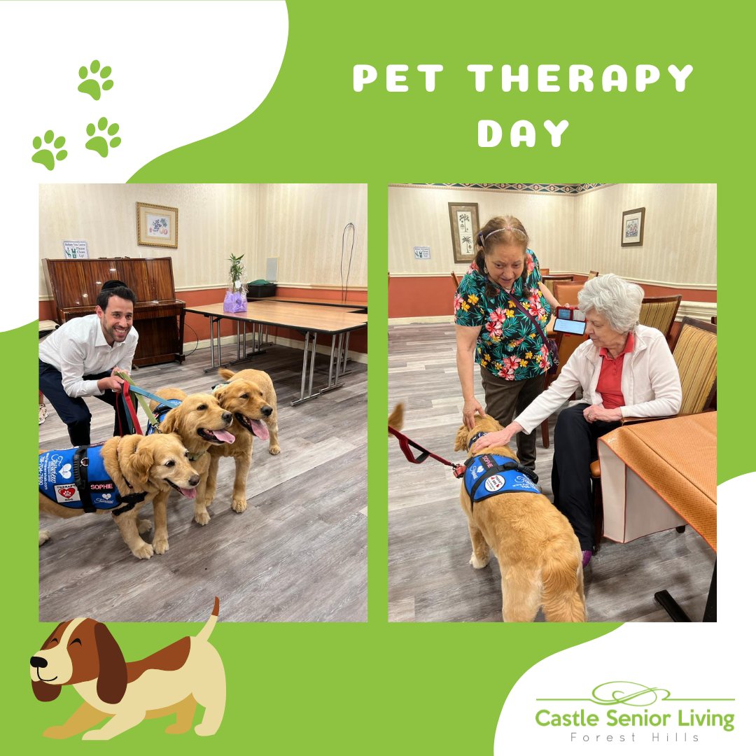 Pet therapy day is all about embracing the healing power of pet therapy and celebrating the incredible bond between humans and animals! From wagging tails to comforting purrs, our furry friends bring joy, comfort, and healing to our lives. 

#PetTherapyDay #HealingPaws