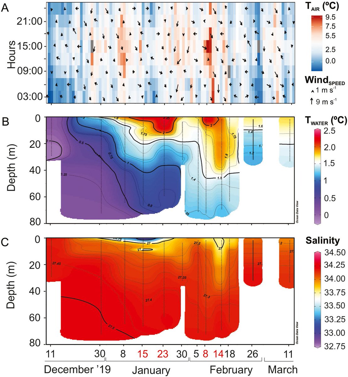 LOBio_CADIC's tweet photo. Do you want to learn about marine heatwaves in Antarctica? Follow the link! Nuestro último trabajo, sobre olas de calor marina en Antártida! 

https://t.co/lMQ7ubmHUv https://t.co/SLWQjYXvVC