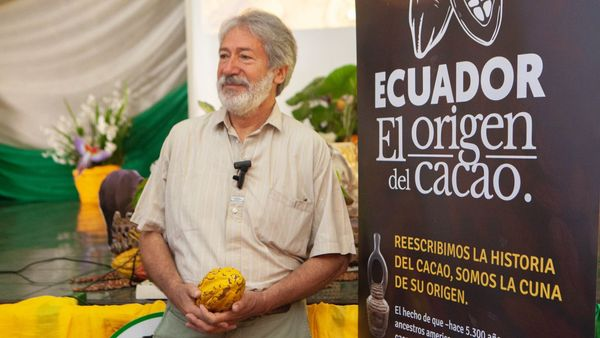 cs4ot's tweet photo. 📷 El investigador del Instituto Francés de Investigación para el Desarrollo (IRD), Francisco Valdez, estuvo en #Zamora, con su ciclo conferencia, denominada “Origen del Cacao”, asistieron emprendedores, organizaciones sociales y ciudadanía en general.
#cacao #ZamoraChinchipe https://t.co/W3YGqmQW8b
