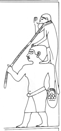 Dr Karin Sowada tweet media