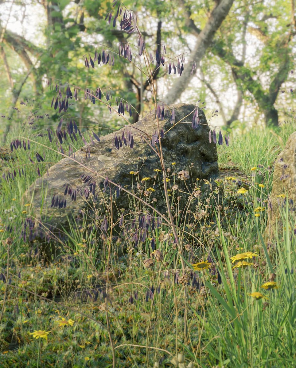 @tanjalanggner showcasing her work as a 3d-asset artist, assembling scans for our Bee Meadow ecotope.

#graswald #madewithgraswald  #picoftheday #nature #art #naturerender #environmentart #digitalart #3dart #blender #blender3d #cyclesrender #b3d