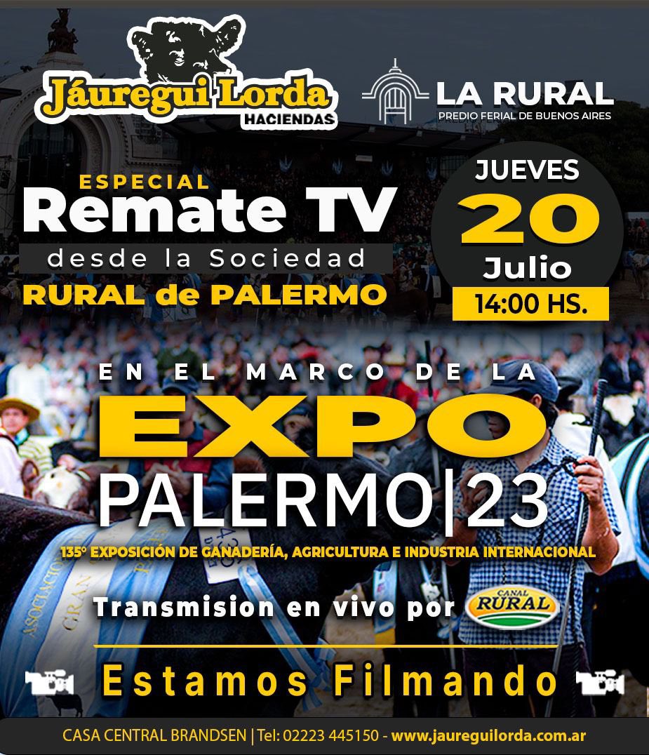 FEV Producciones tweet media