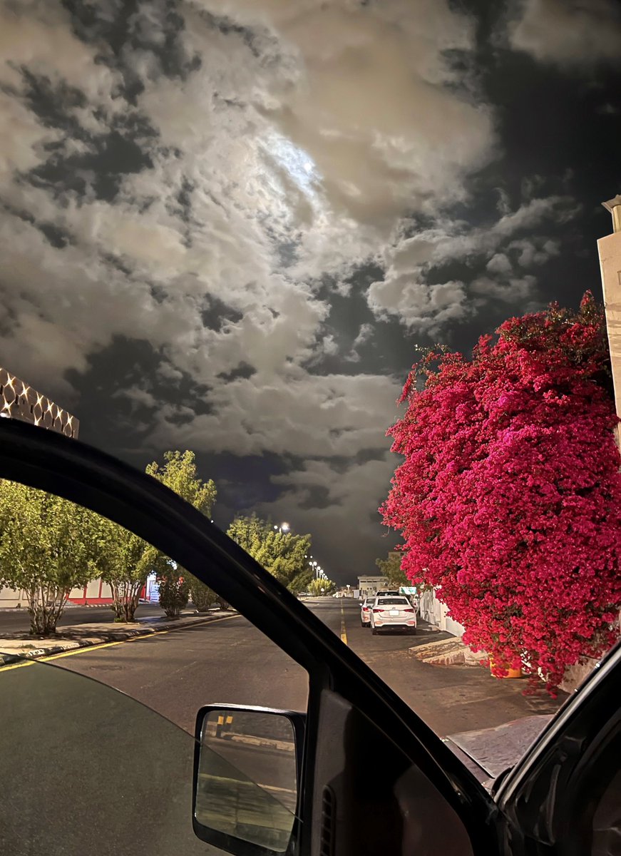 شارك بصورة من تصويرك :