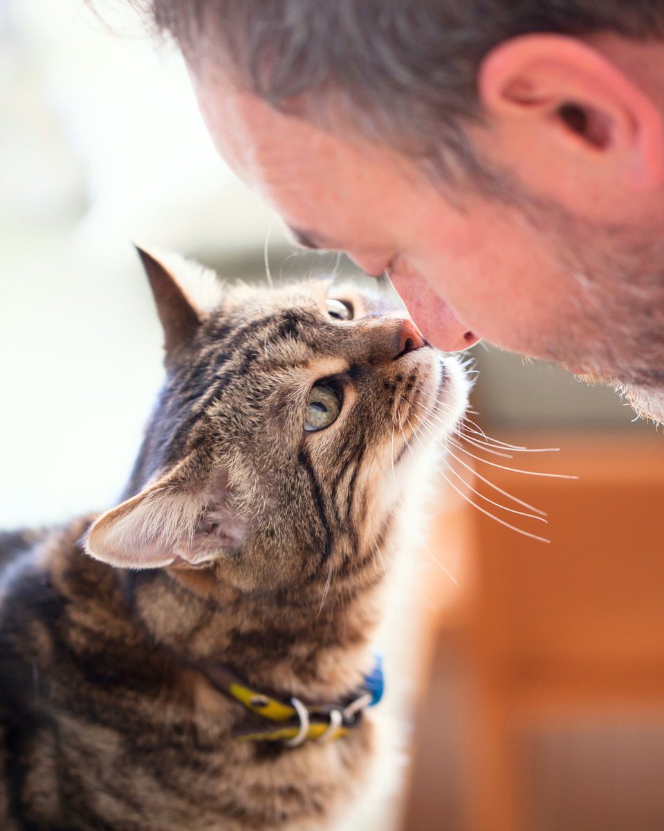 What's your pet's favorite way to show love?
 
Share with us below and spread the love!
 
#petlover #petlove #catloversworld #dogloversclub