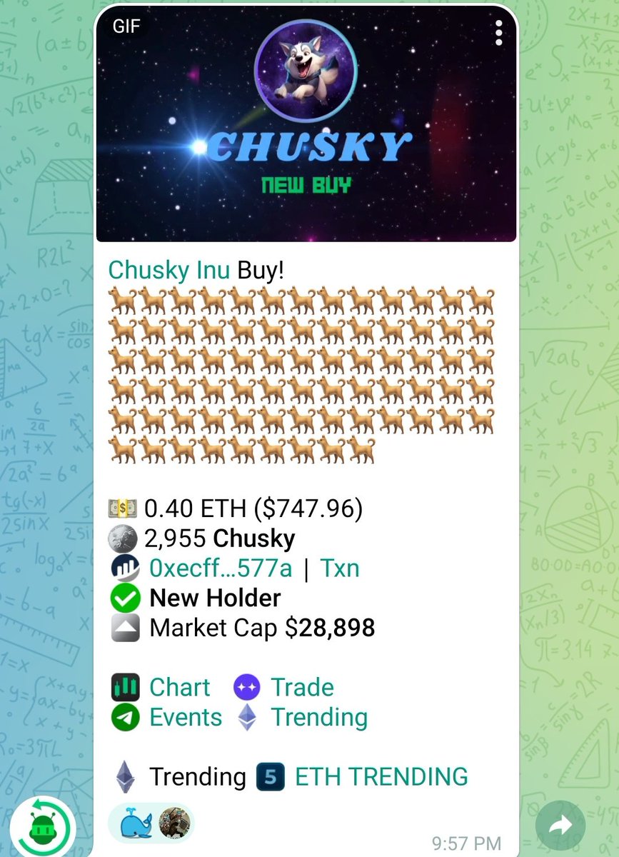 ChuskyInu tweet media