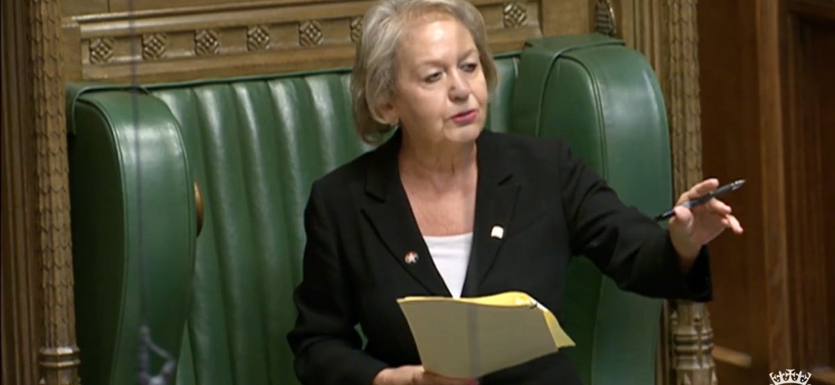 Col_SimonHSYACF's tweet photo. What an honour for ⁦@hsyacf1⁩, the Rt. Hon Dame Rosie Winterton, Deputy Speaker of the House of Commons, in the chair today proudly wearing her HSY Cypher.   Thank you Dame Rosie for the support for your ⁦@ArmyCadetsUK⁩ County. https://t.co/xiD7i65PNa