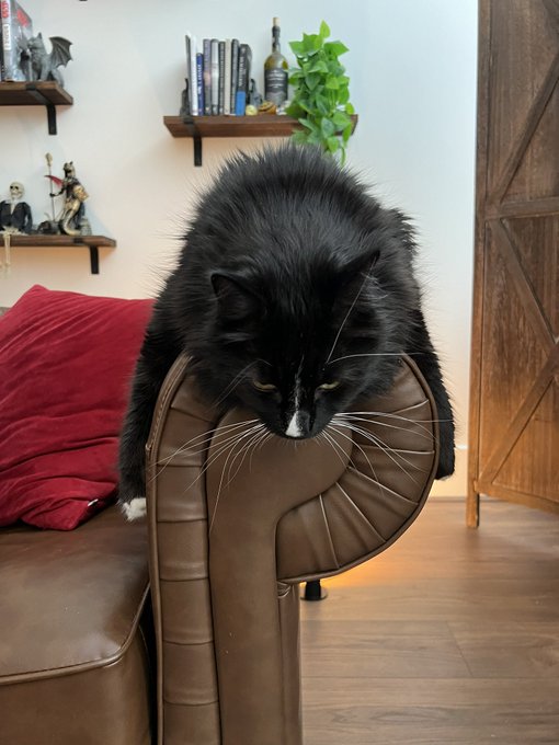 I feel his pain https://t.co/4umQ3vCHhB<a href="/tag/onlyfans"class="tags"><span>#onlyfans</span></a>