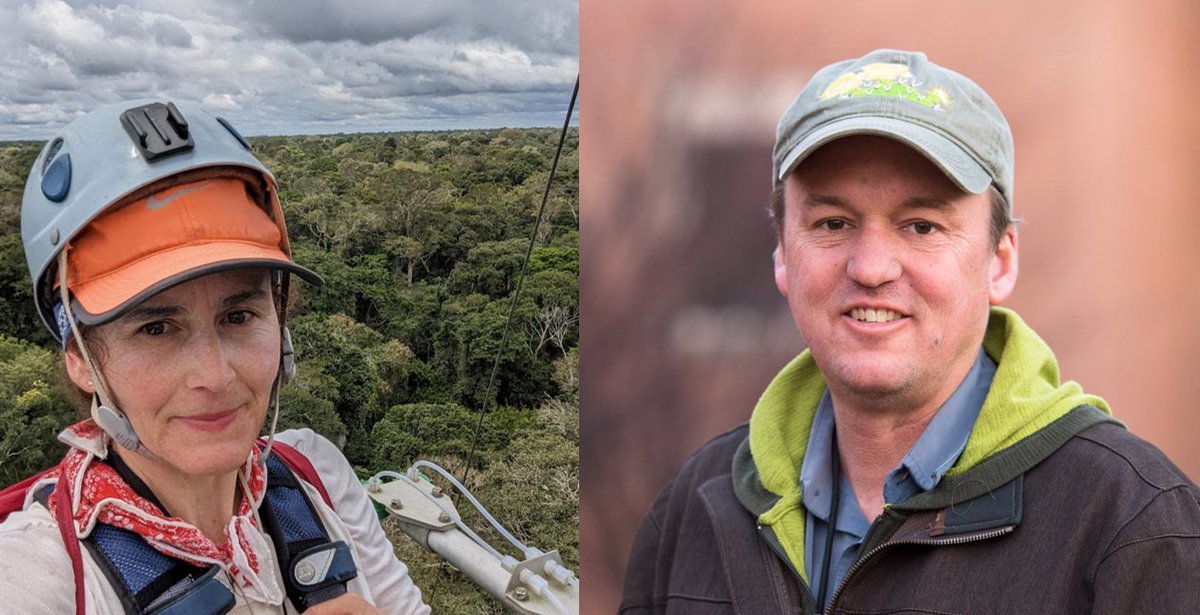 Join our AGU 2023 Fall Meeting session! We encourage submissions on tropical forest responses to global change. Invited Speakers: Natalia Restrepo Coupe &amp; Nate McDowell.

B087: Tropical Forests Under a Changing Environment
Abstract Deadline: 8/2/23
Link: agu.confex.com/agu/fm23/preli…