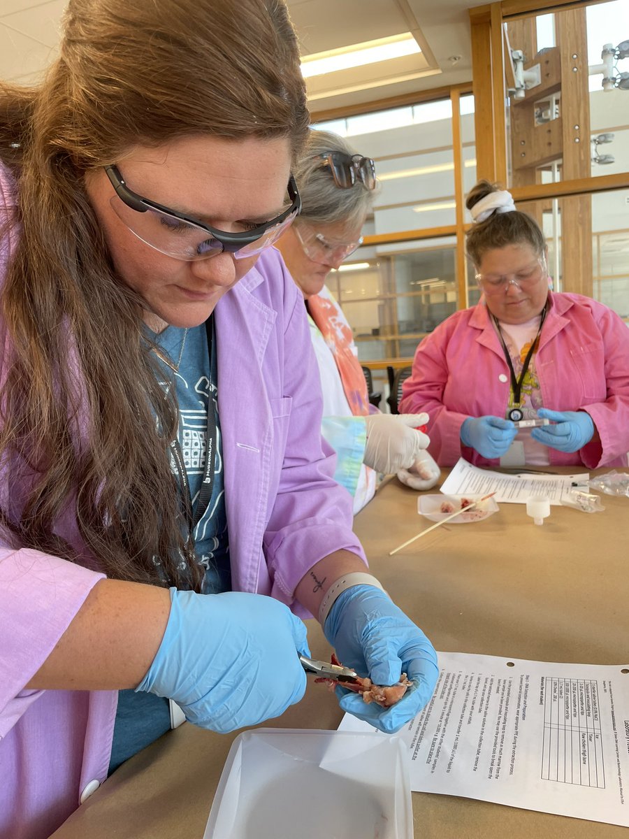 ahk10's tweet image. Day 3 GTAC Unity and Diversity highlights: chicken bone DNA extraction with my awesome lab partner @MrsBussie224 , sex csomes of plants (amazingly interesting…I could listen to @sarahbcarey for hours), &amp;amp; greenhouse tour! @HAEdOutreach @JenHutchEDU @MadLoftin 🧬💙👩🏻‍🔬