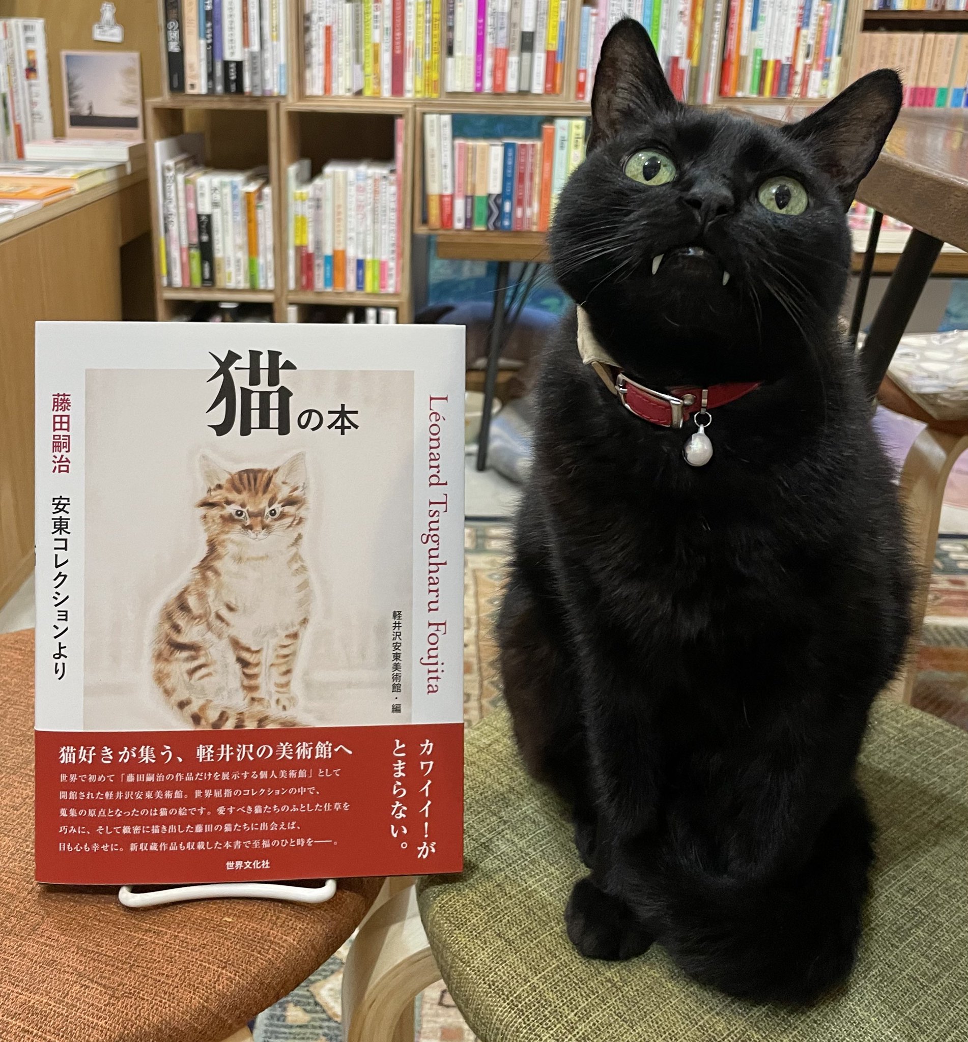 F-14 藤田嗣治、a book of cats