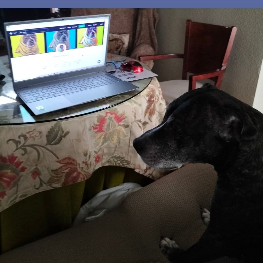 TheFafiCRO's tweet image. Tomorrow i wish the best or lucks for you my love...😔 This photo is when she is good but i meet nice for this night...🥲💙 Another thanks for the people what buy his pitbull in her collection Pitbull Fantasy only in crypto.comnft 🥹🥲🫂💙 @cryptocom_BR #CryptoCommunity #cronft