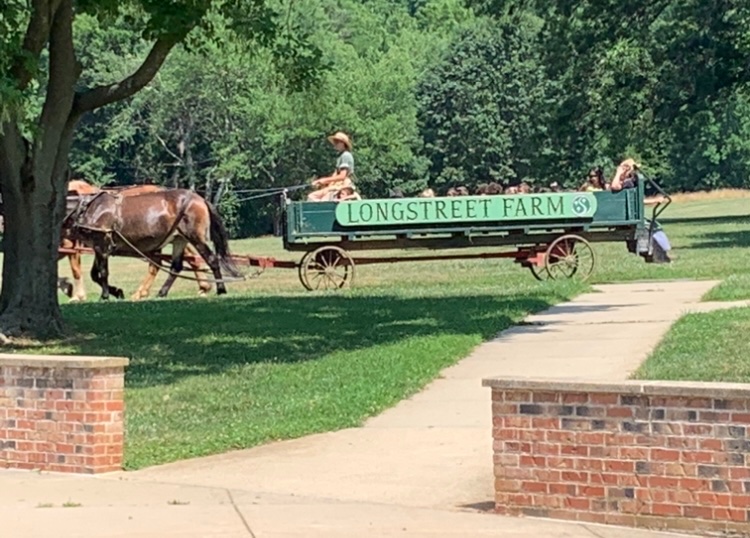 LWC Summer 2023 tweet media