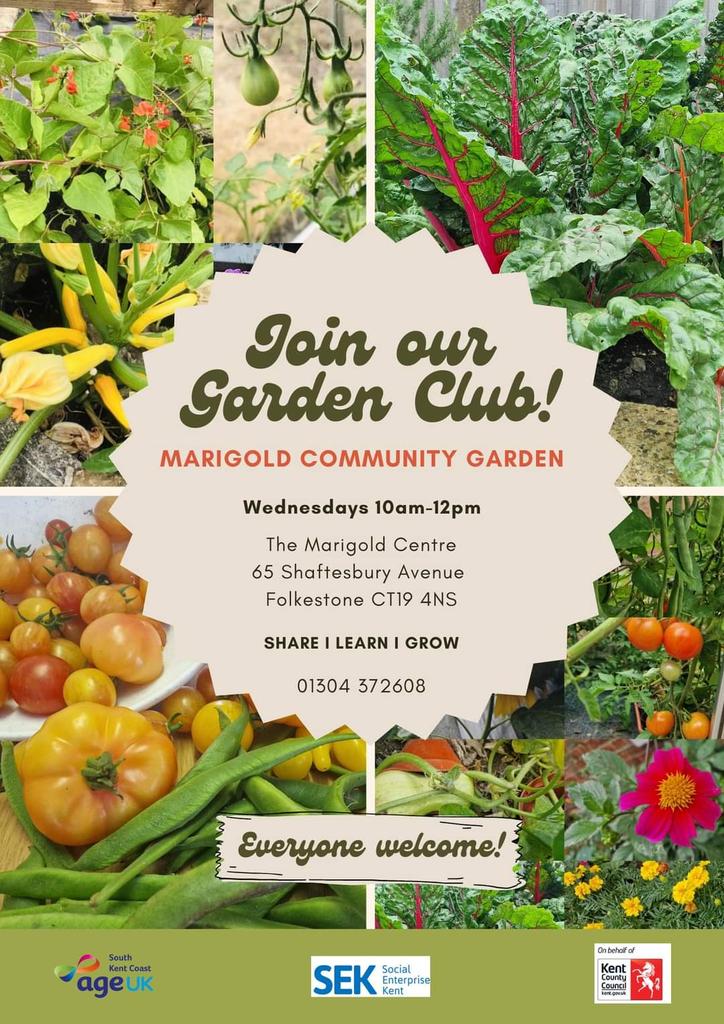 The Marigold Garden Club meets every Wednesday, the veg grown is used by our catering team and surplus distributed to older people in the community. We are looking for new members - suitable for all levels of gardening experience ... or none! #Folkestone #CommunityGarden