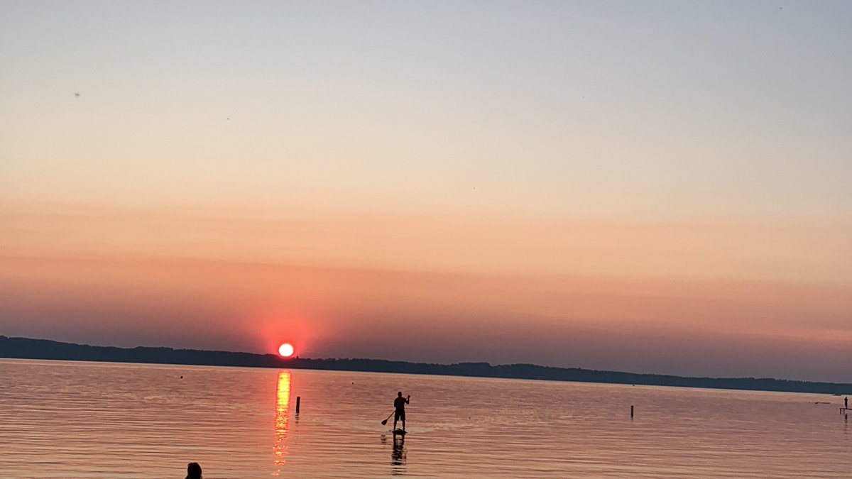 Ivy’s Journey tweet media