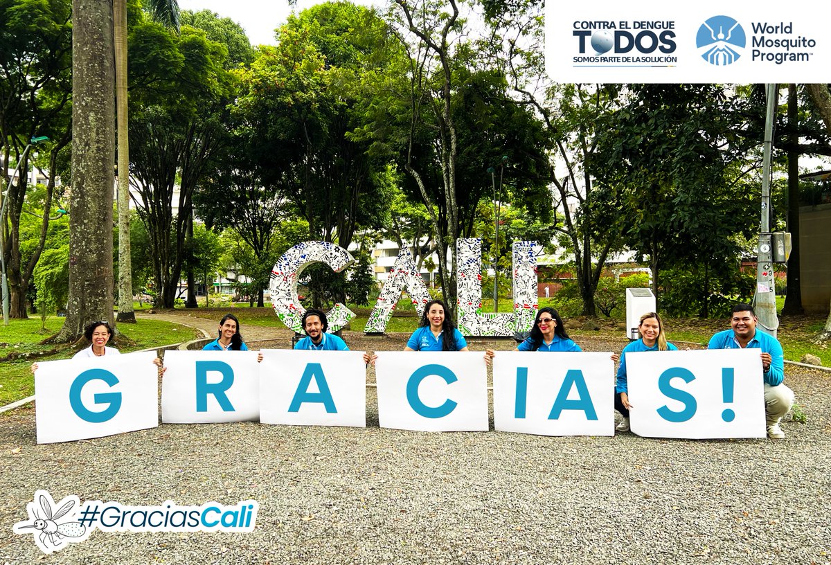 World Mosquito Program Colombia tweet media