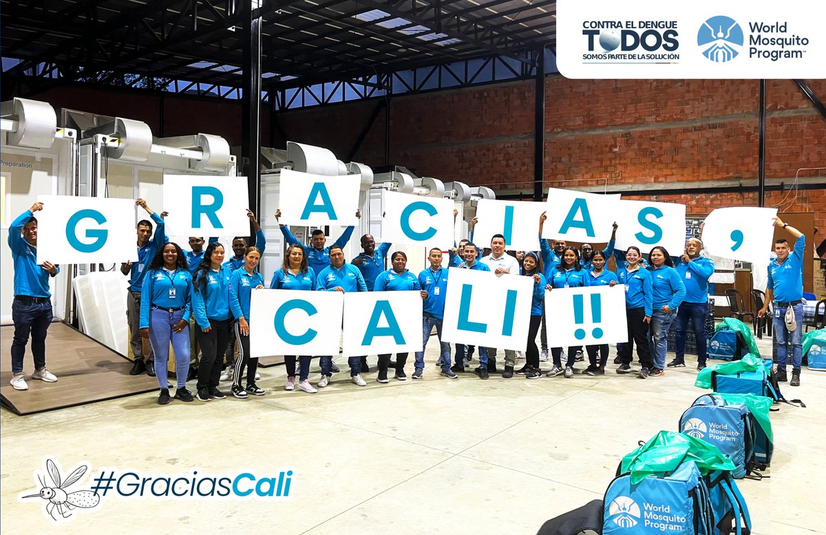 #GraciasCali (Comunas 10, 11, 12 y 17) por comprender y ser partícipe del propósito principal que mueve nuestros corazones y nos alienta a seguir trabajando cada día: Proteger la salud de los caleños con el método #Wolbachia. 💙💙🦟 #TodosSomosParteDeLaSolución #ControlBiológico