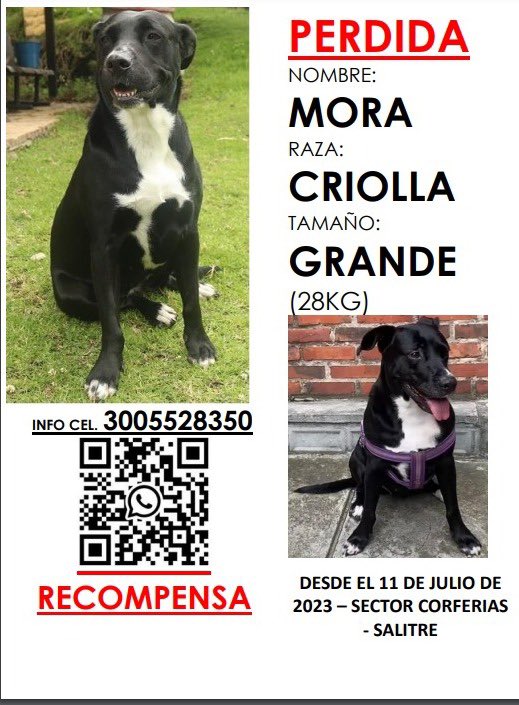 Amig@s acaban de ver a Mora sobre la avenida calle 26 en la mitad de la avenida si pueden dar un RT LES AGRADEZCO!!