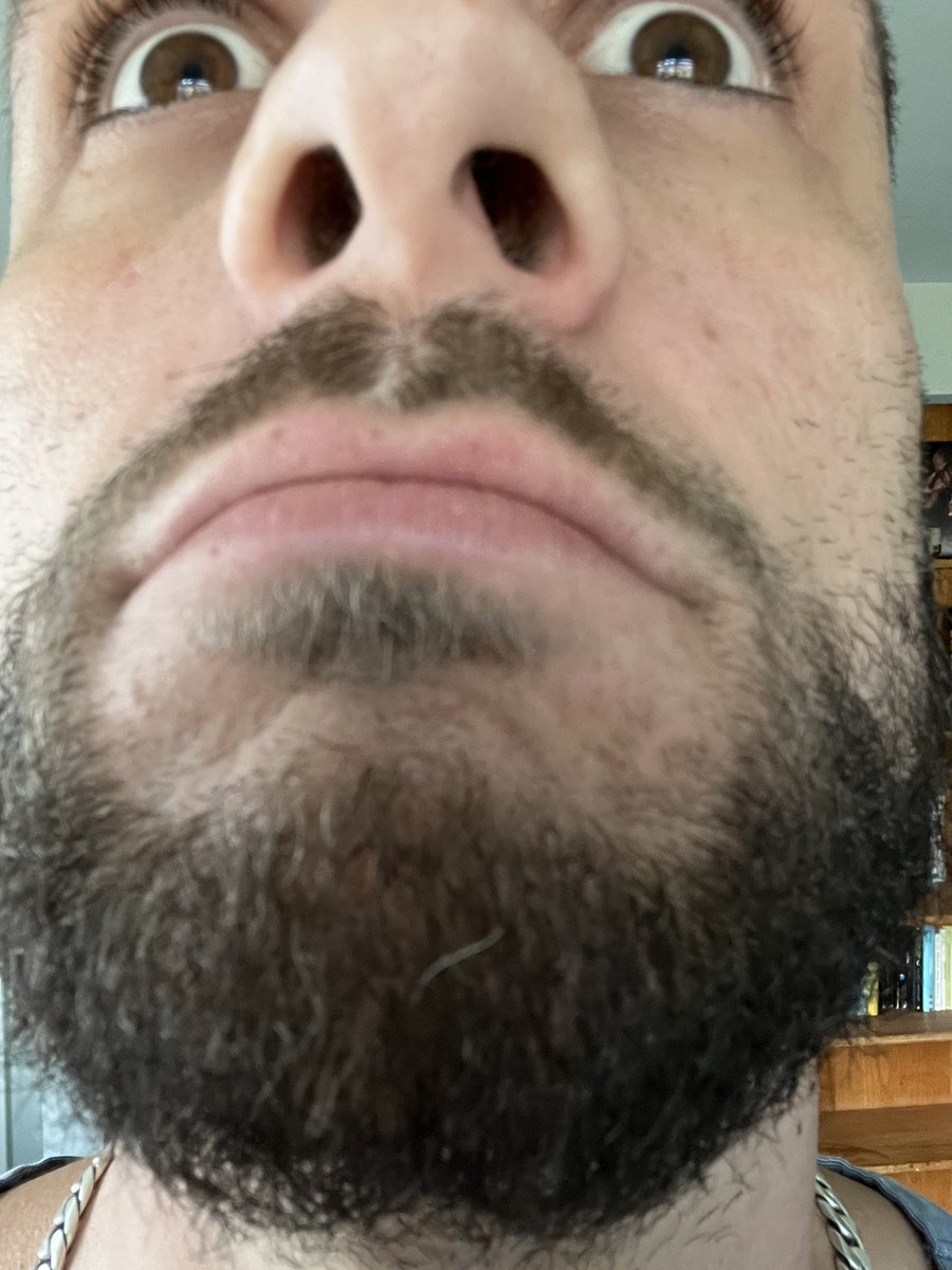 DO YOU SEE THAT THING IN THE MIDDLE OF MY BEARD?

What TF is that…

NOOOOOOOOOOooooooooo….