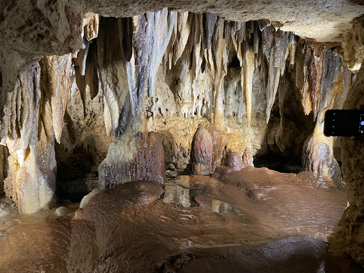 City Cast Madison tweet media