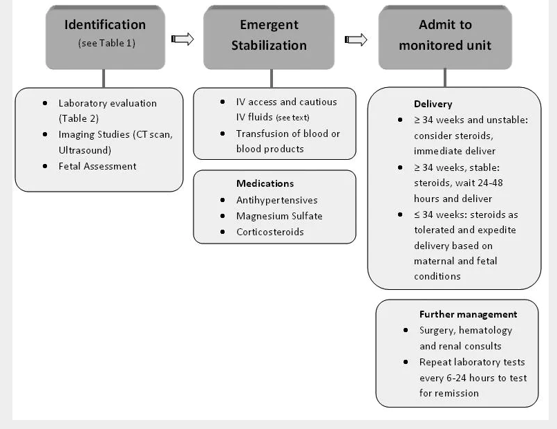 Studying Medicine on Twitter "HELLP (Hemolysis, Elevated Liver enzymes