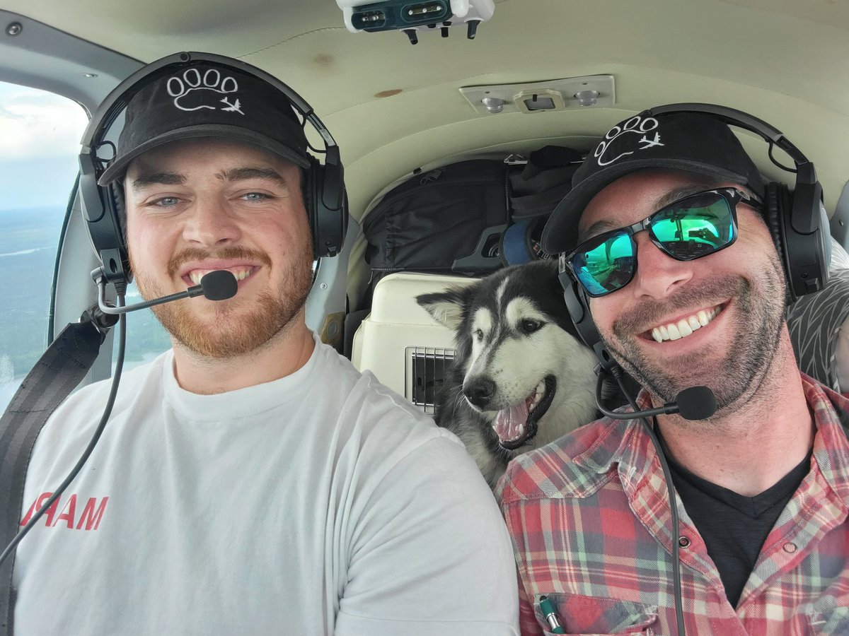 davevallillee's tweet photo. Two pups on board rn that were starving to death after getting a face full of porcupine. Now en route from Neskantaga F.N. to an emergency vet in Dryden. Please donate to https://t.co/7Uivacldhc now.  We want to fly these guys back to their loving family tomorrow. https://t.co/eDViIl7FOG