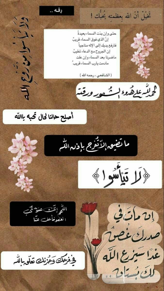 🚶♂️A 8 | Dani | ٩ أ tweet media