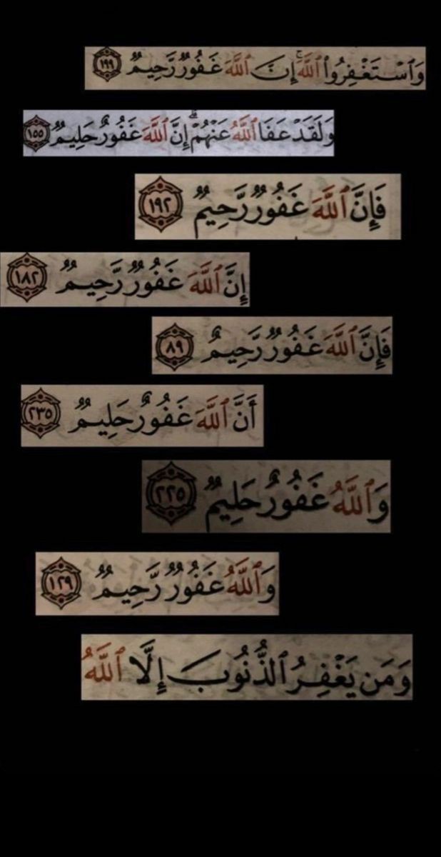 🚶♂️A 8 | Dani | ٩ أ tweet media