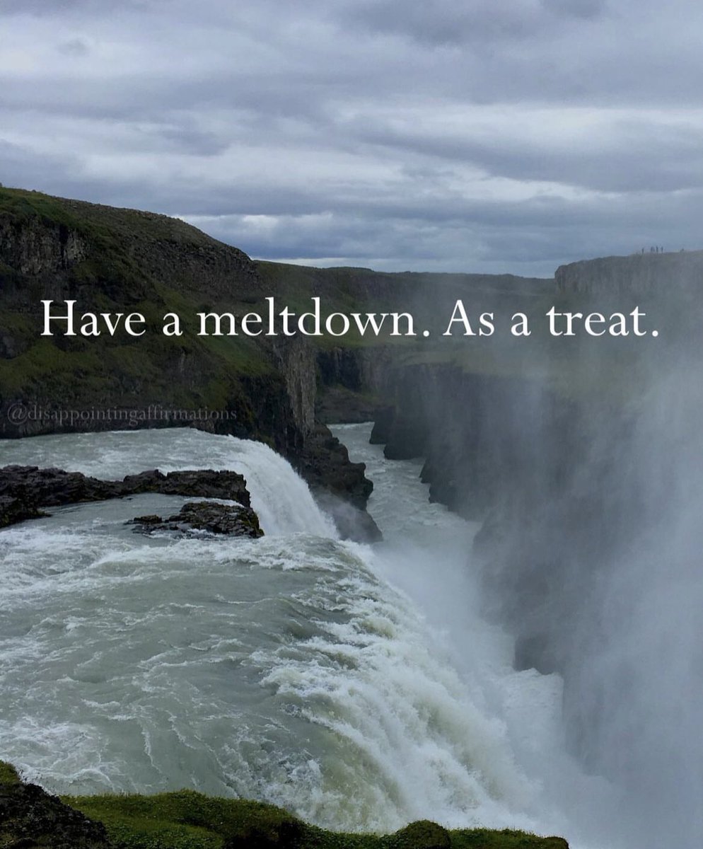 Jιɳx 🌻 tweet media