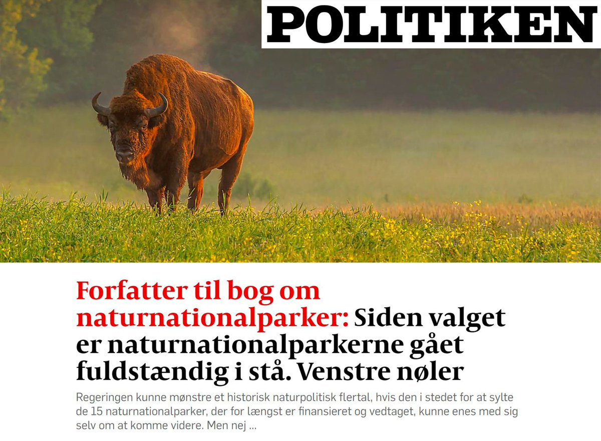 Sommerfugle styrtuddør på levested efter levested, og biodiversitetskrisen eskalerer - og alligevel har Danmark nærmest nul naturbeskyttelse, og naturnationalparkerne står bomstille. Politisk nøl med fatale naturkonsekvenser. LÆS: tinyurl.com/454th32y #dkpol