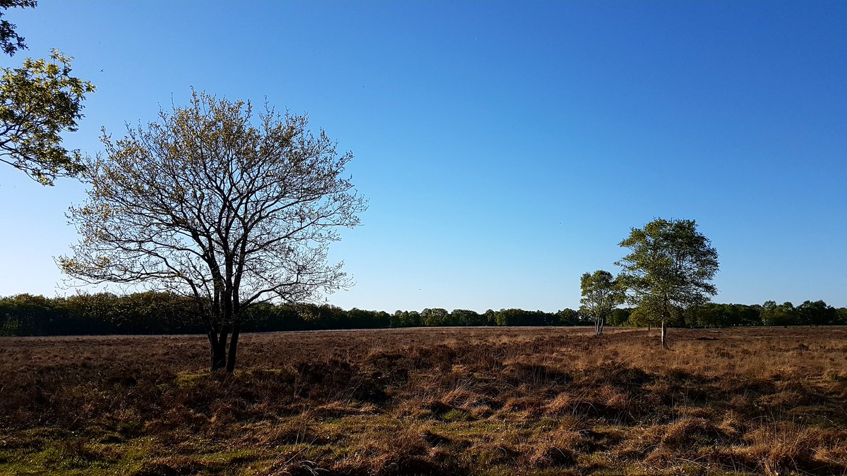 deckerstarnailz's tweet photo. In my timezone I'm just in time 😅

Happy birthday @Mel13Oneil !! 🥳
Here are some nature pictures I took near my house for you to enjoy 😊
#natureformelissa https://t.co/1X3kJASzI4
