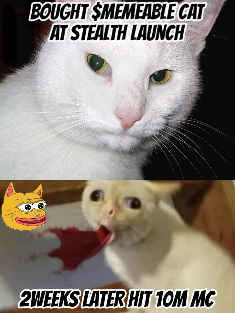 warhammer_113's tweet photo. @MonstersCoins Entry #meme
#Memeable cat $Memeable #Memeablecat
@ZieIzBack
@diyyahwatty
@yudhafauz https://t.co/b2MznDUkrG