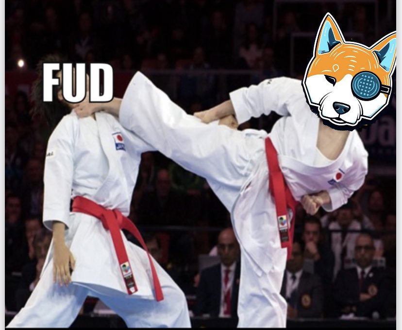 XDOGE_CEO's tweet photo. @XAIINUERC @CryptoTony__ @XAIINUERC @GodReviews_ https://t.co/IAWBN3xmIp