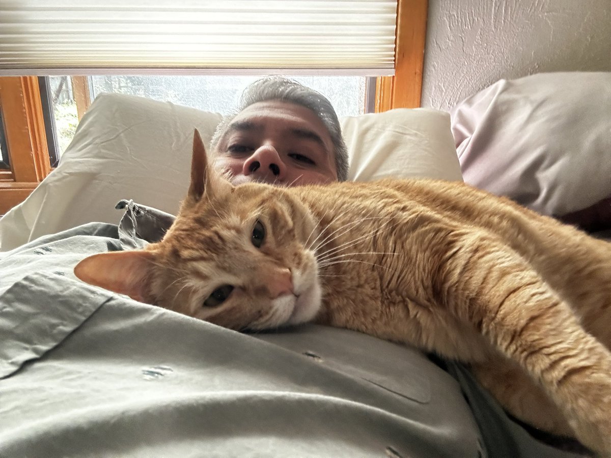bcbull's tweet photo. Hump day. It’s puttering along. #cats #catsofnpr #CatsOfTwitter #naps https://t.co/mbYMfh19Xg