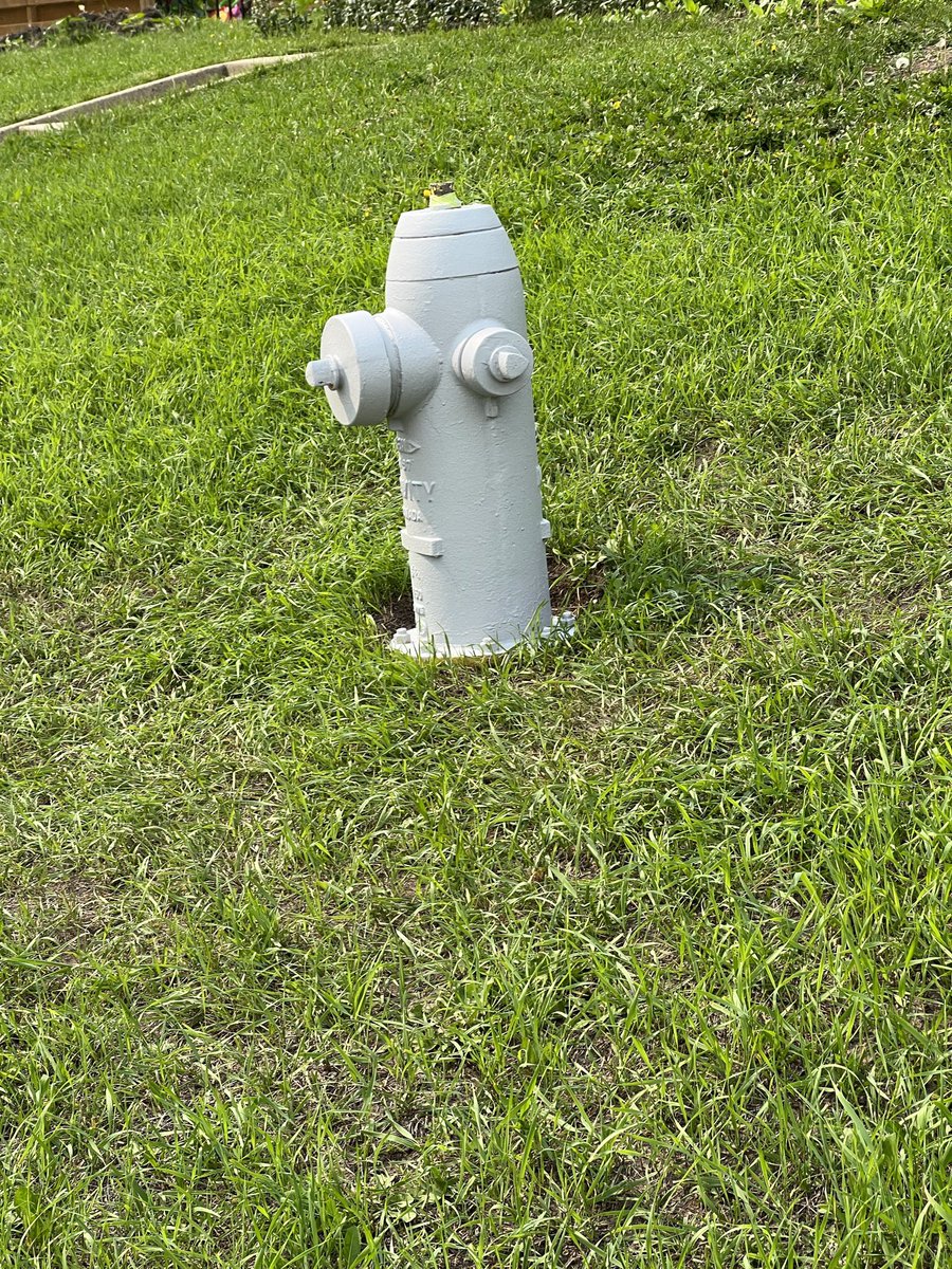 Wondering why a couple of fire hydrants in our area are now painted grey @T4XBeaumont