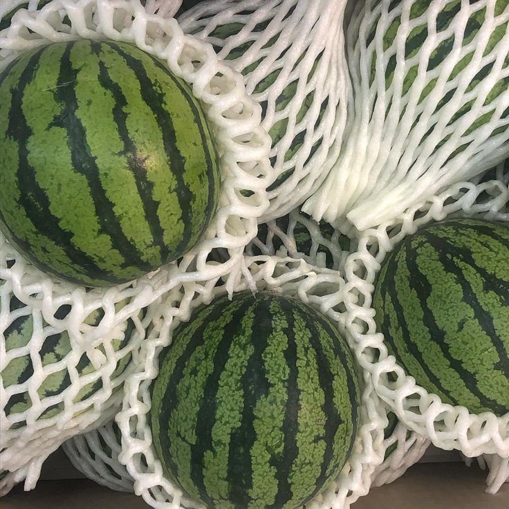 𓆡 | inactivo tweet media