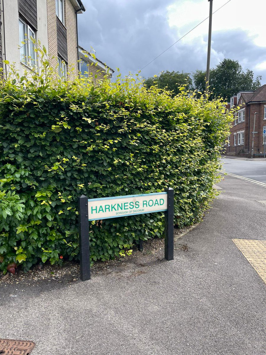 (Katie) Harkin tweet media