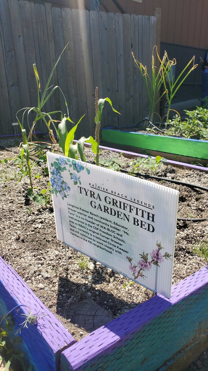 FN_TinaBrigit's tweet photo. Congratulations to Living Legend Tyra Griffith! Find her garden bed in #rainierbeach at the RBAC Office and watch it as it grows! https://t.co/0kZZwodqAX
