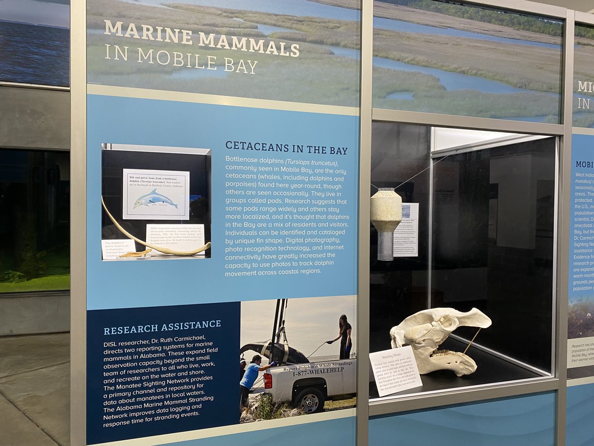 The Carmichael Lab - Dauphin Island Sea Lab tweet media