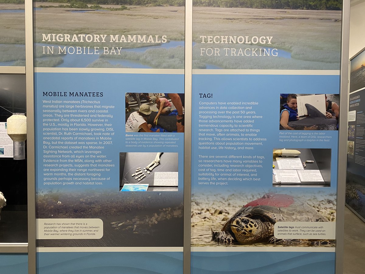 The Carmichael Lab - Dauphin Island Sea Lab tweet media