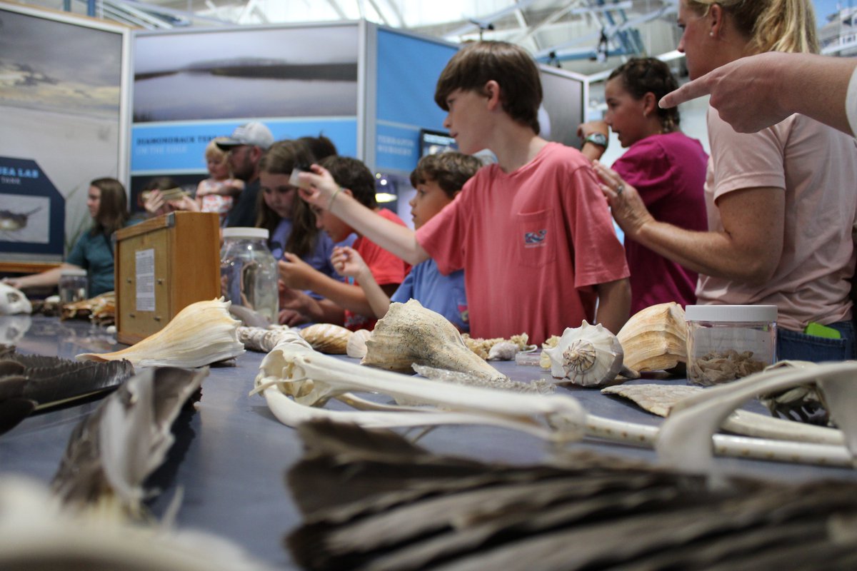 The Carmichael Lab - Dauphin Island Sea Lab tweet media