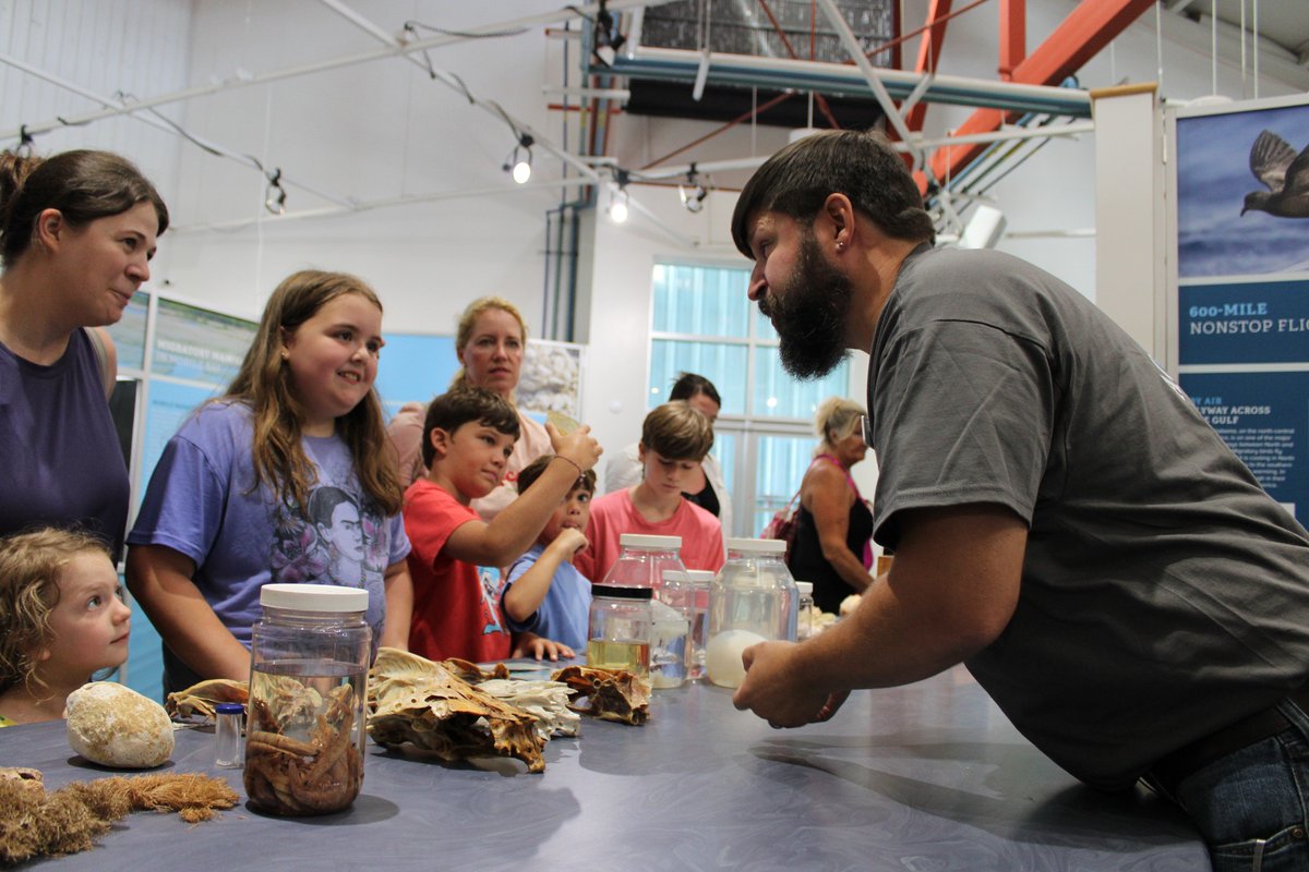 The Carmichael Lab - Dauphin Island Sea Lab tweet media